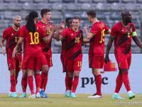 IM竞技-荷兰战平奥地利，双方实力悬殊各显神通的简单介绍