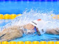 IM电竞官网-当文明在绿茵场交锋，哥伦比亚的终结、安哥拉的隐喻与楚阿梅尼的统治时刻