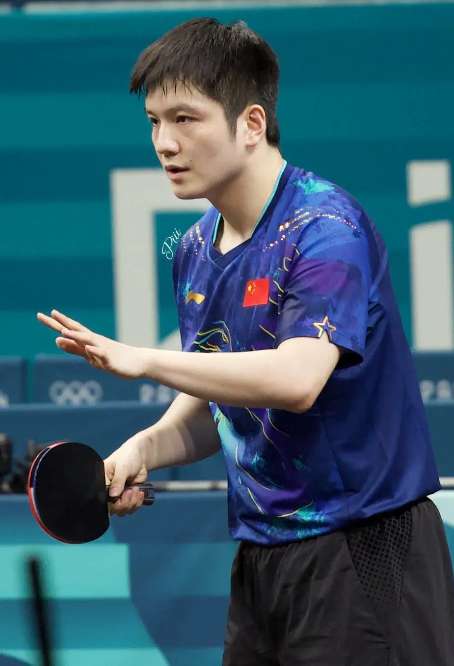 包含波兰乒乓球队轻取比利时乒乓球队，樊振东爆发神勇的词条