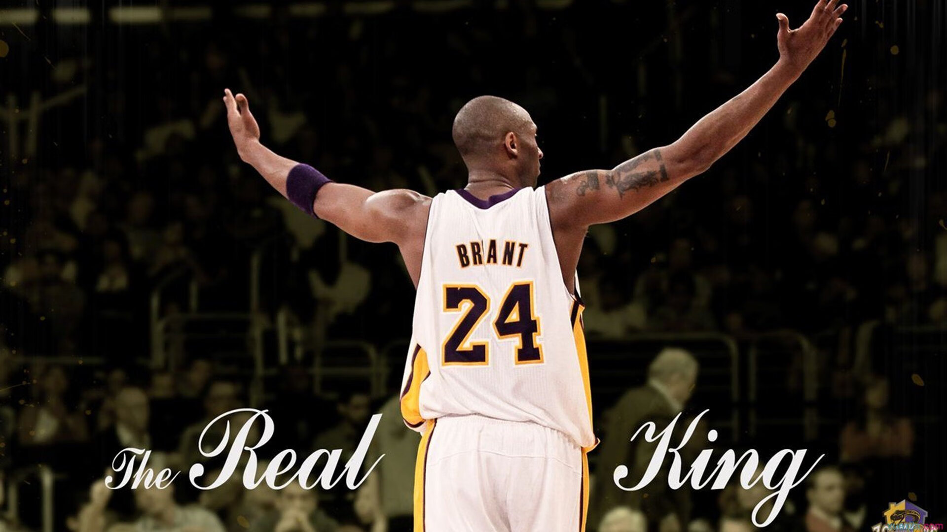 德约科维奇，年终总决赛险胜背后的戴维斯杯密码与统治力哲学